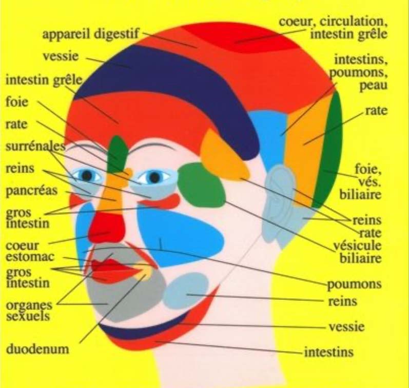 réflexologie visage